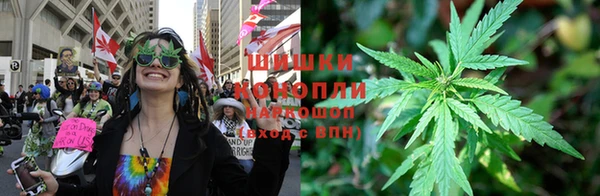 твердый Абаза