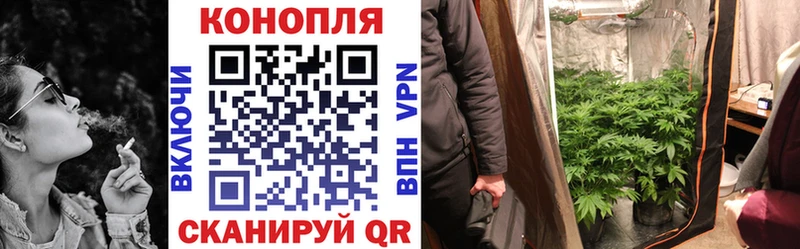 Конопля ГИДРОПОН  Вышний Волочёк 